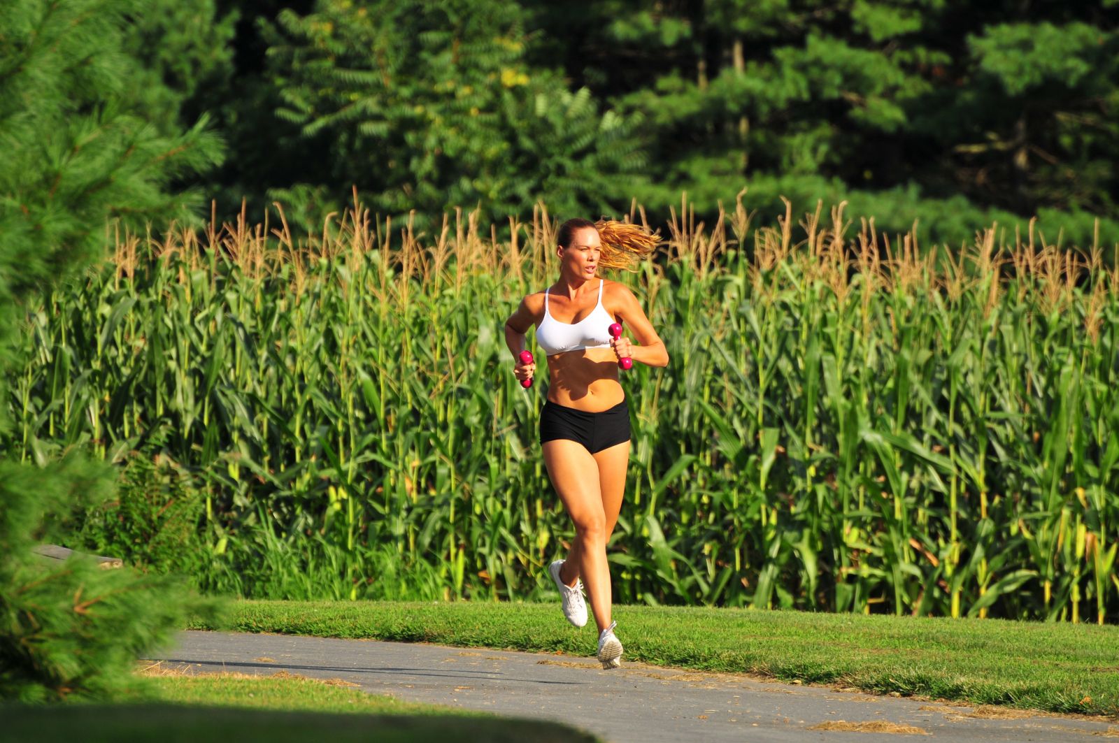 cardio workouts at home
